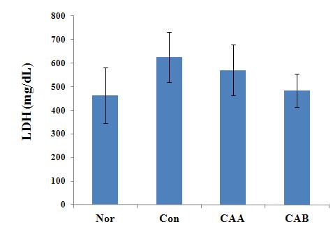 대한한의학방제학회지제 22 권제 1 호 (2014 년 6 월 ) Herbal Formula Science(HFS) 2014;22(1):177~192 Figure 8. The changes of Alkaline phosphatase activities from 9 weeks groups.