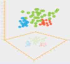 Normalized Signals Feature Learning