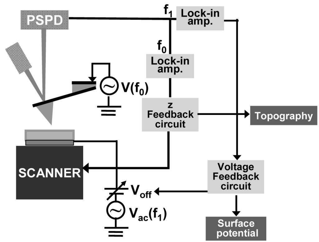. Fermi level, voltage CPD. capacitor (U=1/2CV 2 ).. Fig. 1. KPFM system. tip sample dc ac voltage (Vapp = Vdc+ Vac sin wt)..., atom ion, 5), charge trap 6), surface band bending 7). KPFM. Fig. 1 KPFM system.