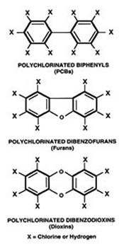 8. 오염지역정화및복원기술 (9) 3) 생물학적정화기술 ( 주요오염물의분해 5) 5 Chlorinated Aromatic Hydrocarbons 염소계방향족탄화수소 정화대상물질 - Chlorophenol, Chlorobenzene, Chloroaniline, PCBs, Pesticdes