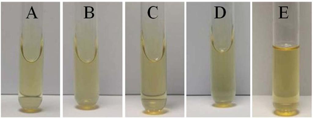 (A) Leuc. mesenteroides K6-7, (B) Leuc. mesenteroides N58-5, (C) Leuc. citreum N45-10, (D) Leuc. mesenteroides KACC 12312, (E) Positive control experiment. Fig. 4.
