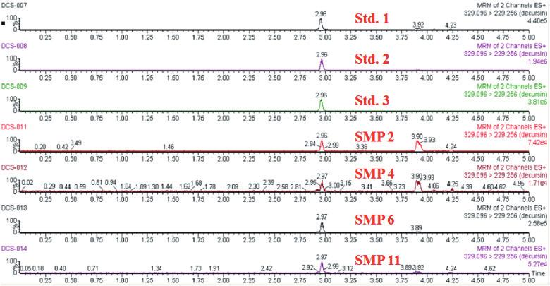 산모의한약복용이모유에미치는영향 - HPLC 와 LC/MS/MS 를이용한생화탕지표성분분석 - 는 LC/MS/MS chromatogram 은다음과 같다 (Fig. 4). 다음에서 Std. 1-3 은 decursin 3 회반복이고, 해당시료의결과는 HMSP 02, HMSP 04, HMSP 06, HMSP 11에서검출시간 2.
