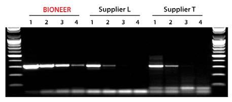 AccuPower Dual-HotStart TM RT-PCR PreMix Experimental Data Figure 2.