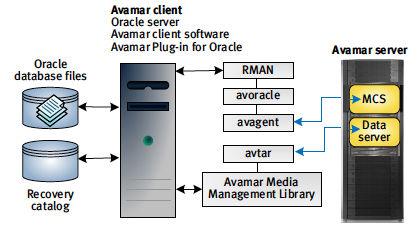 Oracle 백업구성 2. Oracle 용 Avamar 플러그인을 RAC 클러스터의각노드에설치합니다. EMC Avamar 7.0 for Oracle User Gide 에서는 RAC 환경내각물리적노드에클라이언트와플러그인을설치하는방법에대해설명합니다. 3.