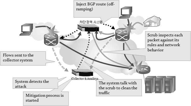 플로우유입량을분석할수있어사전적인과다 DoS/DDoS 공격을차단할수있는유용한정보를얻을수있다. DPI는플로우패킷에대한계층 7에해당하는모든패킷정보내용을분석할수있어, DNS 질의패킷에대한정상적인사용여부만이아니라, DDoS 공격과같은형태의 DNS 패킷에대한패킷의서술형태를분석할수있는기반이된다.