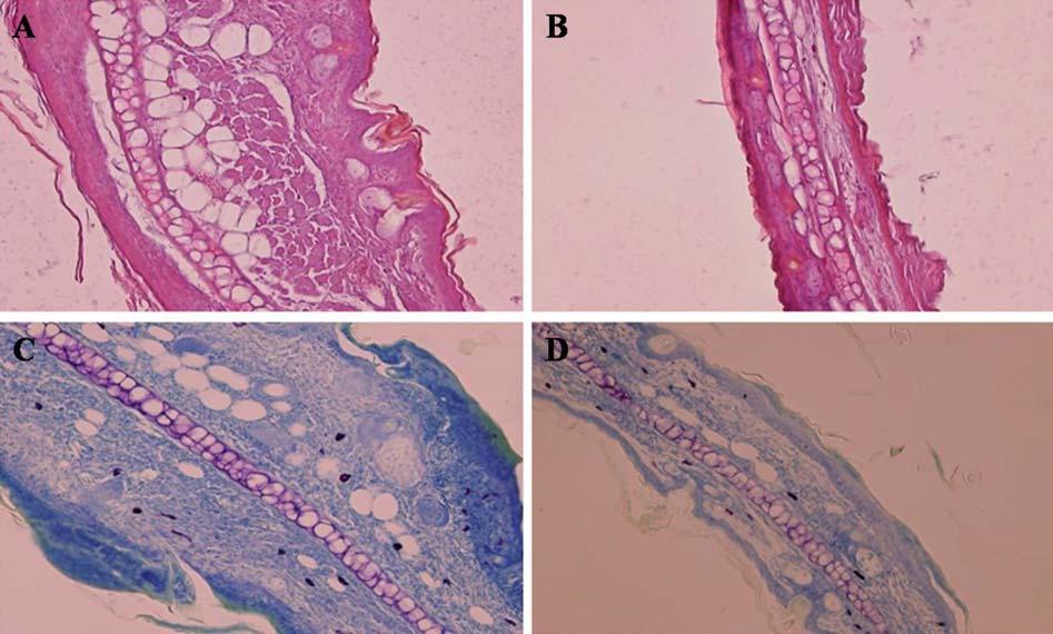 Anti-inflammatory effect of quercetin 11 Figure 3. Total serum Histamine levels in female BALB/c mice at 3 hr after application with PCL. Each value was expressed as Mean±SE of 5 BALB/c mice.