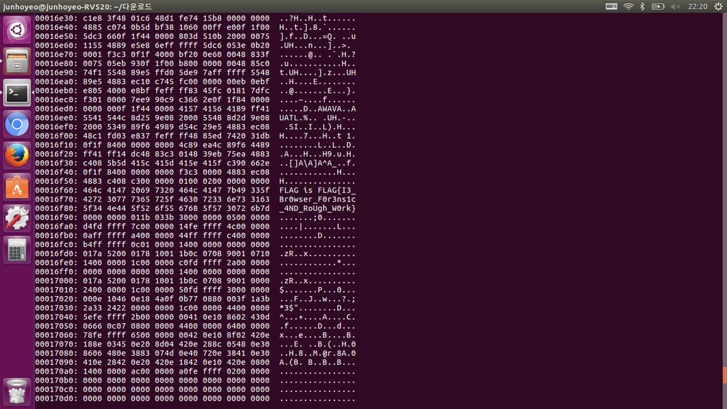 다행히 hex code 중간에서플래그를찾을수있었다.