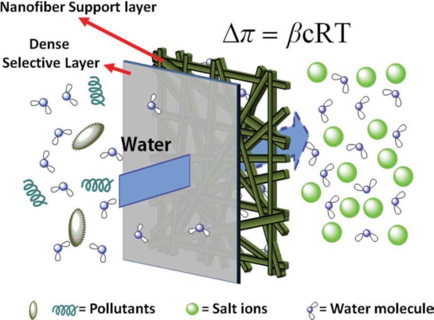 Figure 7 Schematic of an ideal FO membrane with a dense active layer (reject pollutants and salt ions) and a scaffold-like nanofiber support layer.