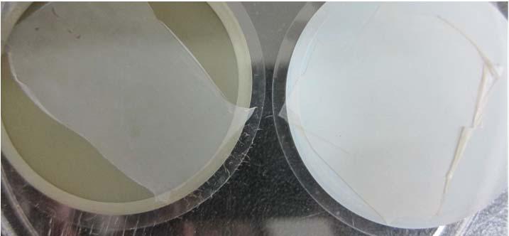 Figure 10 Photo images of polyamide-anodic alumina filter hybrid membrane with