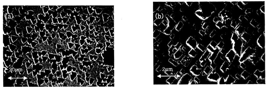 그림.19 거대입성장된백금박막의우선배향성에따른에칭양상