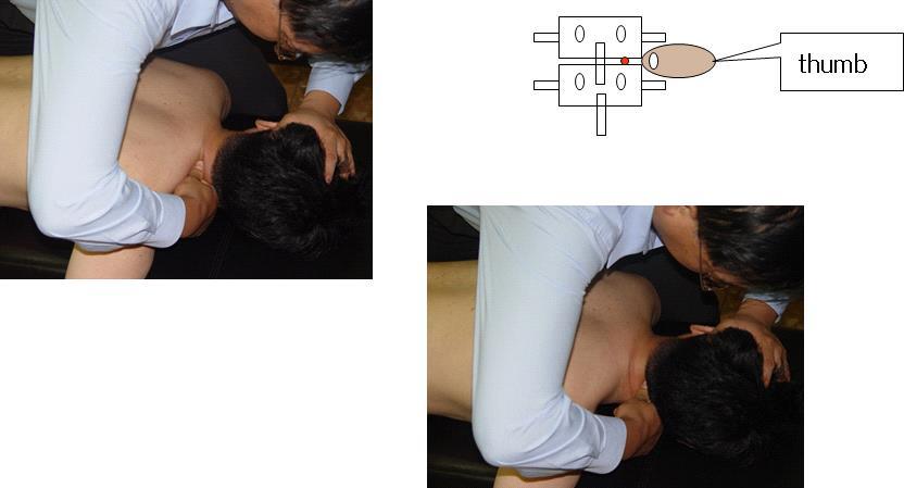 Full Spine Technique Protocol (Treatment