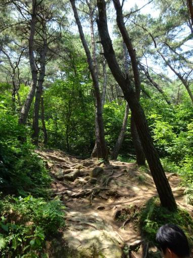 On on our way to Granny Buddha We leave our guide, the group and the mini bus and we take on advise of Kim Jeong-Hee, former research Professor, Korean Women s Institute of Ewha Womans University, a