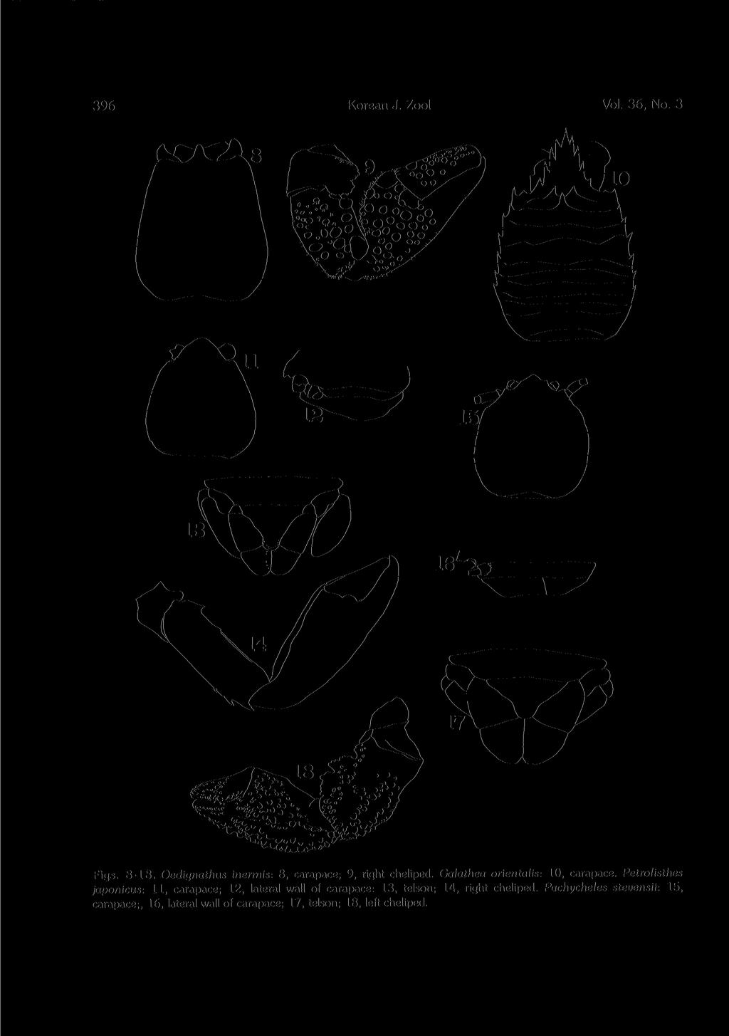 396 Korean J. Zool Vol. 36 No. 3 Figs. 8-18. Oedignathus inermis: 8,carapace; 9,right cheliped. Galathea orientalis: 10,carapace.