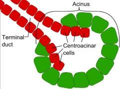 cell 2.