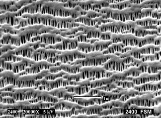 산업기술이슈 분리막의종류및특징 구분건식막습식막강화막 구조 수지 폴리프로플렌폴리에틸렌 폴리에틸렌 폴리프로필렌폴리에틸렌 두께 10 ~ 25 μm 10 ~ 25 μm 15 ~ 25 μm 연신 일축
