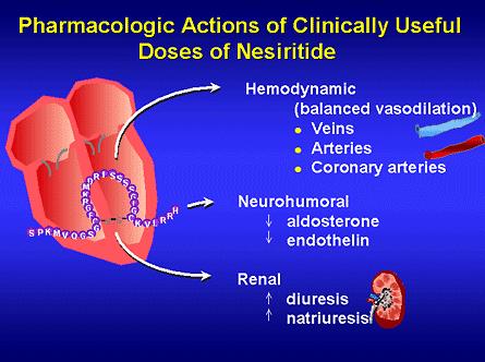 VII. Nesiritide 재조합 human BNP 로서직접적인심근수축효과는없으나동정맥과 관상동맥을확장시켜전부하및후부하를감소시킴으로써심박출량