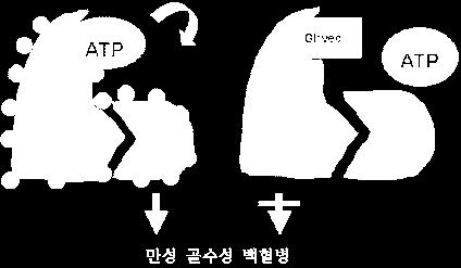 D. 티로신키나제억제제 a.