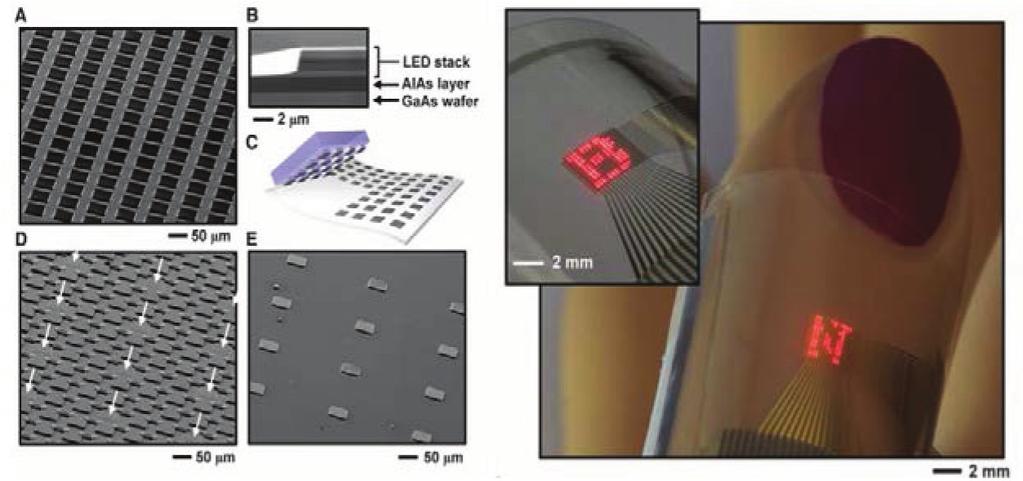김영우, 정탁, 사기동, 김자연, 김정현, 이상헌 Fig. 1. 적색마이크로 LED 를적용한플렉서블디스플레이 -16 16 array 1) 룹에서 GaAs 기반적색마이크로 LED 개발결과를처음으로보고하였다.