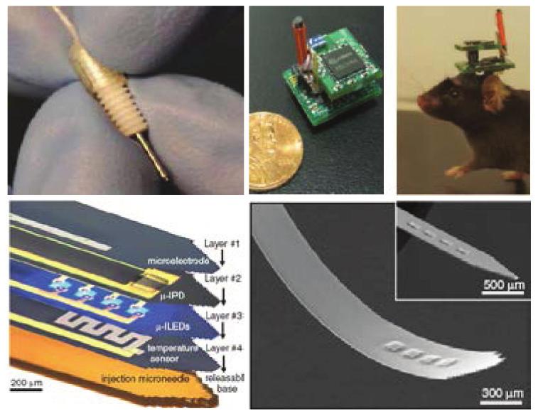 17~21) 초기에는쥐의대뇌에광파이버로빛을인가하여자극하였으나, 마이크로 needle에 50 um 50 um 크기의마이크로 LED와집적회로를형성하여빛을조사한결과쥐의불안증세를개선하는효과가있음을확인하였다.