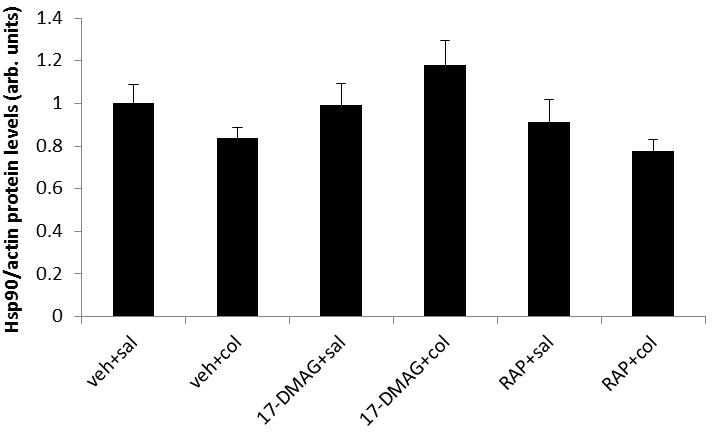 392 생명과학회지 2016, Vol. 26. No. 4 C D E Fig. 4. 17-DMG increases Hsp72 protein levels and decreases kt-mtor signaling pathway in mouse skeletal muscle.