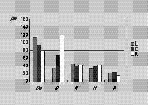 lingual gage with 5kg