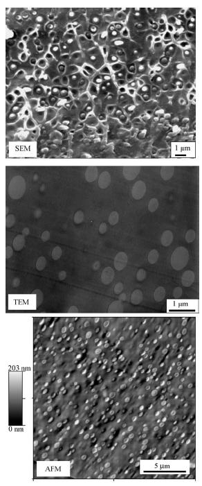 그림 1.12. Micrographs (cross-sectional view) of an 85/15 (w/w) SPEKK2.0/PEI cast at 60 C from a 5% (w/v) NMP solution.