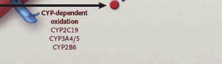 보라팍사 (Vorapaxar) 보라팍사는혈소판의 protease-activated receptor 1 (PAR-1) 을경쟁적으로차단하여트롬빈 (thrombin)