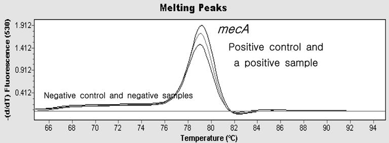 aureus에서만나타난 Tm 80.33 ± 0.14 C 의 113 bp의 ca DNA 검출은본실험에서사용한 ca specific primer 는아주선택적으로본균주를분자수준에서동정이가능한것으로생각된다. cagulase 생성능은 Staphylcccus 속균주중 S. aureus를구분하는특징적인생화학반응이다.