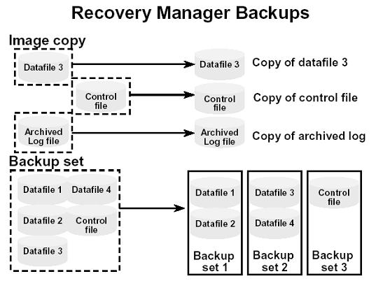 14. rman 백업설명 - recovery manager 를통해서 1) datafile, controlfile, archive logfile 의 image