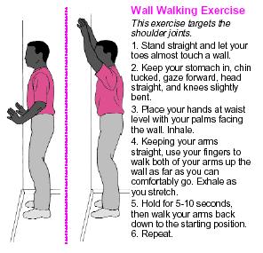 Wall walking Ex 4.