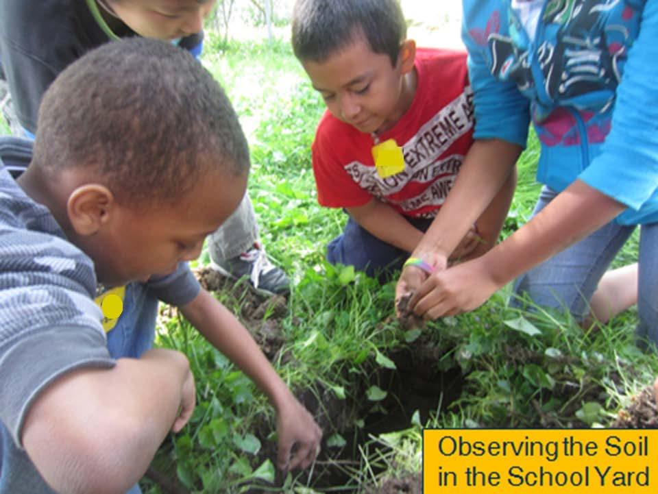 ELL Case Study: Is All Soil the Same? The investigation is carried out by a class of 2 nd grade students with 80% English learners.