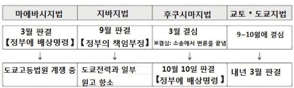 판결에서는 정부가당연히해야할규제권한의미이행은허용되는한도를벗어나, 현저하게 합리성이결여되어있다. 고함. 단, 안전확보라는 1 차적책임은도쿄전력에있다고하며정부의 배상책임정도는도쿄전력의절반수준으로함. 지금까지집단소송과관련해내려진 3건의판결 ( 마에바시지법, 지바지법, 후쿠시마지법 ) 은 모두일부원고의손해에대해도쿄전력의기준을웃도는배상을명령함.