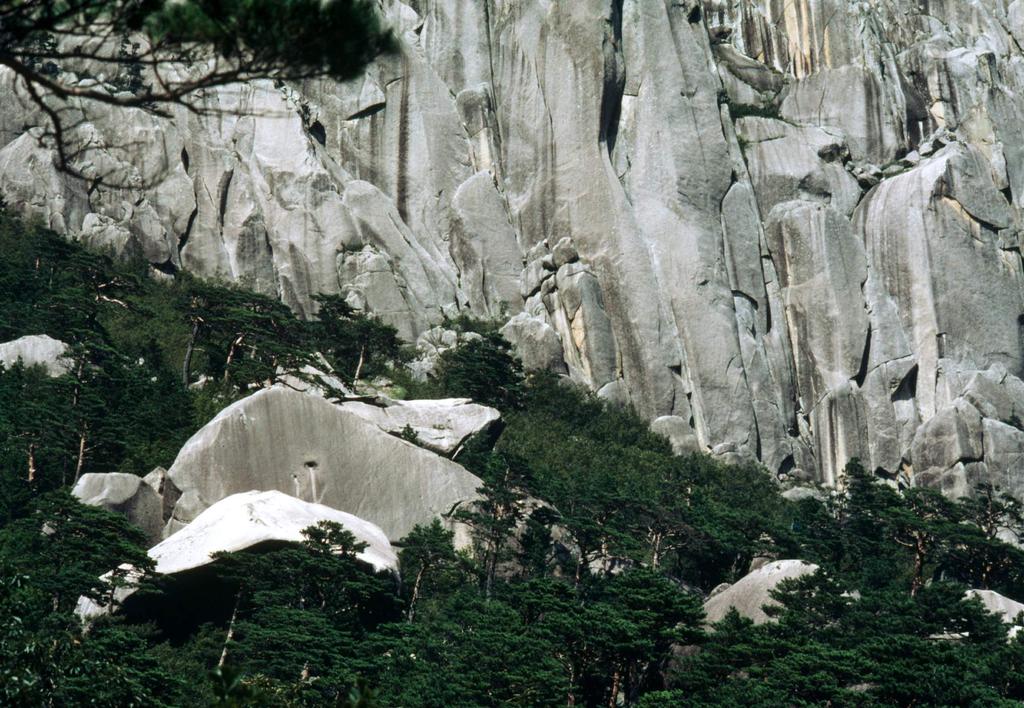 지구그리고우리의미래 Michèle Dépraz / WWF 설악산은화강암절경이빼어날뿐만아니라생물다양성또한매우풍부합니다.