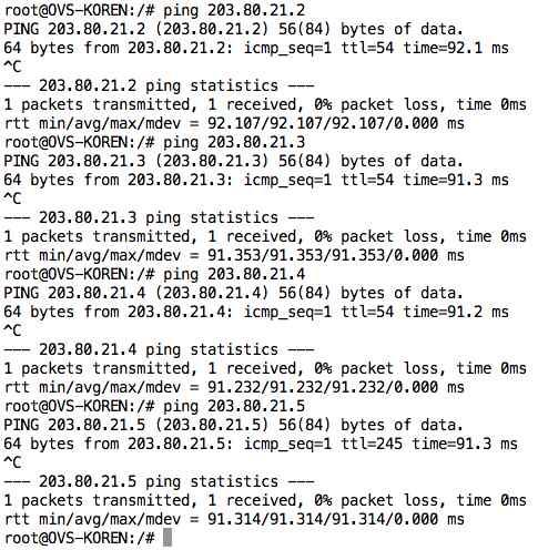 4.1.3 말레이시아ー KOREN NOC IP 설명 203.80.21.2 NexG (power management) 203.80.21.3 Dell 203.80.21.4 IBM (capsulator/netfpga) 203.