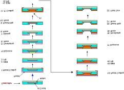 을고려해개발하는것이중요하다. 15 최근 ARC 도포후형성된 patterning 공정에대한 simulation 에서는이러한표면및계면의작용에대해서도함께 simulation 하려는노력이있다. 16,17 4. Polyimide 폴리이미드는우수한내열성, 내화학성, 기계적특성, 전기적특성및낮은열팽창률을보유하고있어엔지니어링플라스틱과전자재료등그사용용도가다양하다.