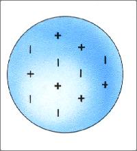 J. Thomso, a British scietist, discovers the electro, leadig to his "lum-uddig" model. He ictures electros embedded i a shere of ositive electric charge.