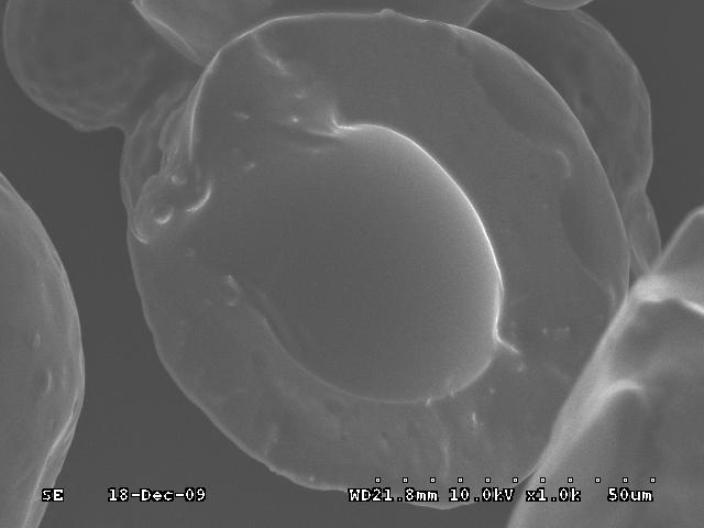 morphologies of zaltoprofen