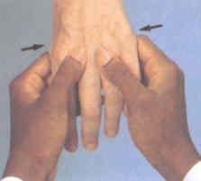 Hand & Wrist Inspection &