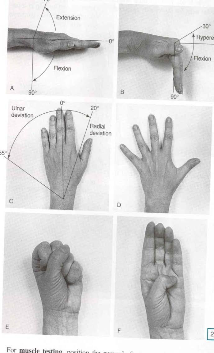 근골격계 : sitting position Hand & Wrist Inspection Swelling, redness, nodule, deformity, muscular atrophy