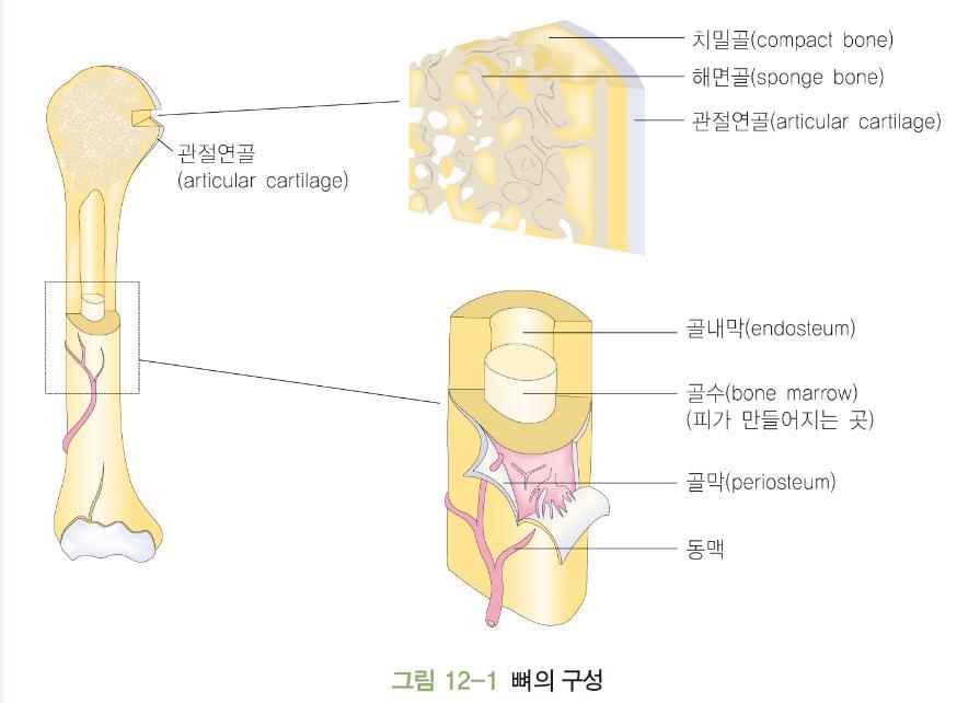 골다공증 1.