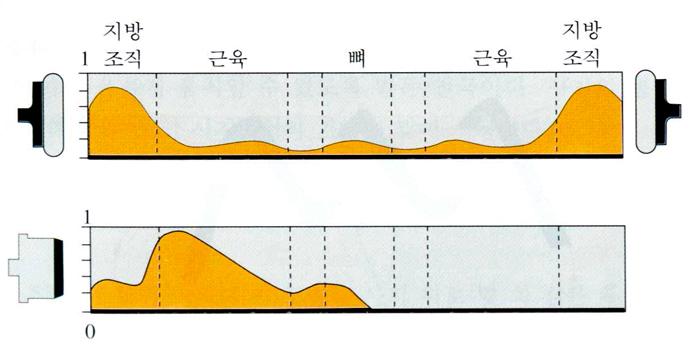 정전장가열법과전자장가열법시가열패턴 정전장가열법 전자장가열법