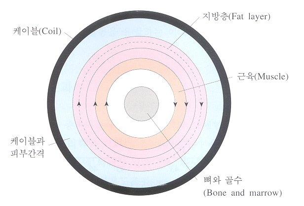 전자장에서전류 ( 실선 )