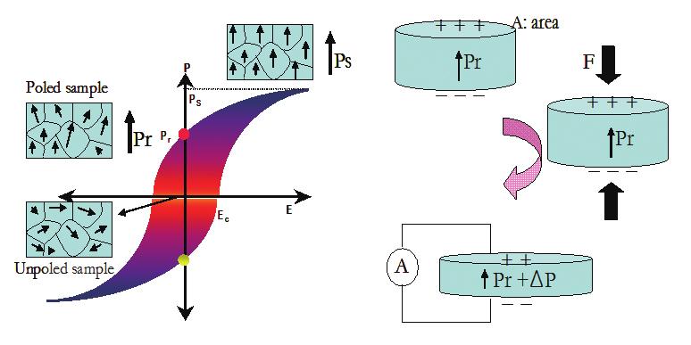 강유전재료를폴링하면일정방향으로자발분극을 (Pr) 가지게되며분극이배열된재료에힘 (F) 를가하면재료의분극변화는 ( P) 식 (4) 와같이발생하며재료를외부저항과연결하면식 (5) 와같이전류가발생한다.