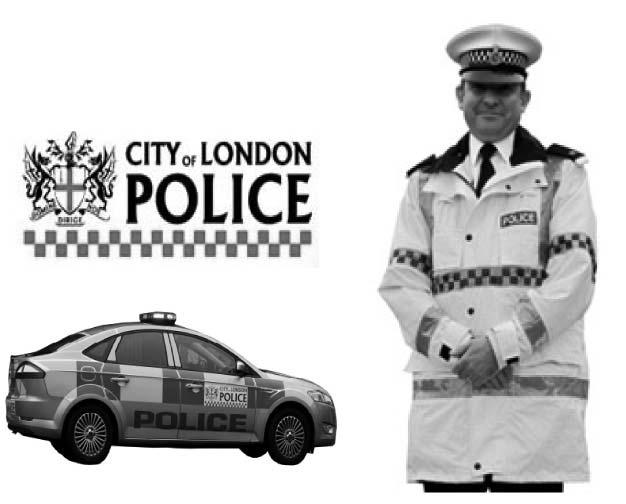 Figure 11. The symbol of the London police.