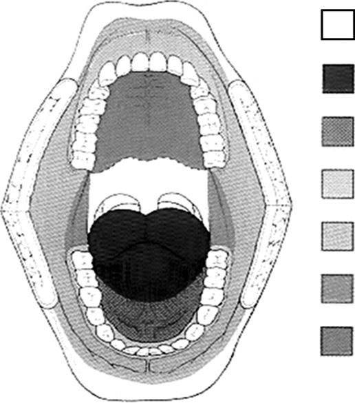 구인두의해부 Figure 3. Oral cavity. 인두 (pharynx) 는후두상부에위치하고있는소화기관의일부로서두개저 (skull base) 에서부터시작해후두와식도에이르는근점막으로된공간으로서, 상부는두개저에단단히부착되어있으며하부는제6경추 (C6) 높이에해당하는윤상연골의하연높이에서식도입구 (esophageal inlet) 로이행된다.