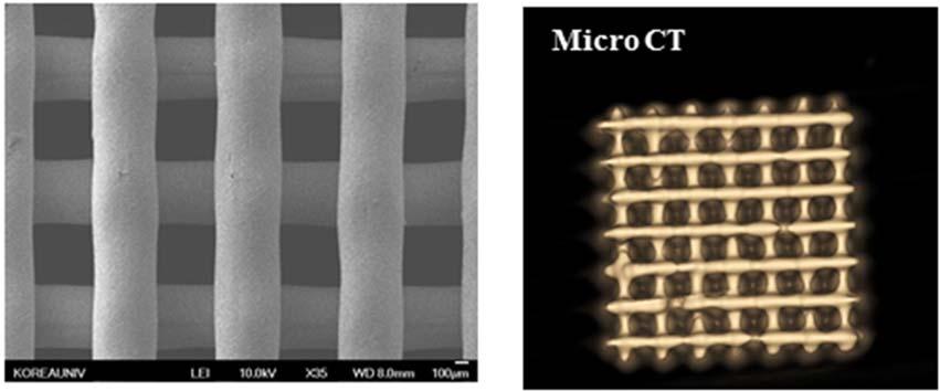 필라멘트지름을제어하여제작한다양한판형 (sheet) 스캐폴드, 3 차원적으로연결된기공구조를갖는육면체형상의다공성 3 차원스캐폴드및보다복잡한구조로구현된플러그형태의스캐폴드등의제작이모두가능하다. 또한앞서기술한바와같이필요에따라서다양한세라믹섬유의지름을선택적으로적용하고형태및구조까지컴퓨터기반의제어기술로 3 차원형상을구현할수있다.