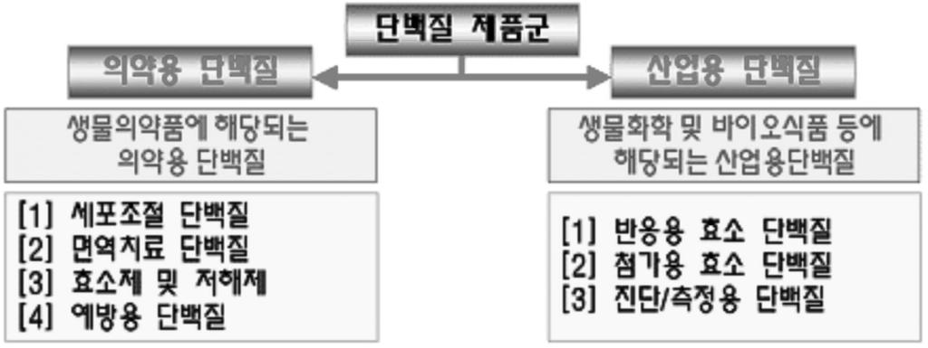 약제용 단백질의 시장동향 분석 또한 이미 출시된 제품을 바탕으로 하여 적응증을 확대하거 나 제형을 개선한 제품들 또한 지속적으로 의약용 단백질 관 련 기술의 진보에 기여할 것으로 보인다. 실제로 인터페론 베 타, 성장호르몬, EPO 등에 대한 서방형(서서히 분비되는 제품 으로 투약의 편리성을 지님) 개발이 활발히 이루어지고 있다.