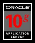 Complete Mobile Solution Applications Vertical Applications Horizontal Applications Custom Application Oracle Application Server 10g