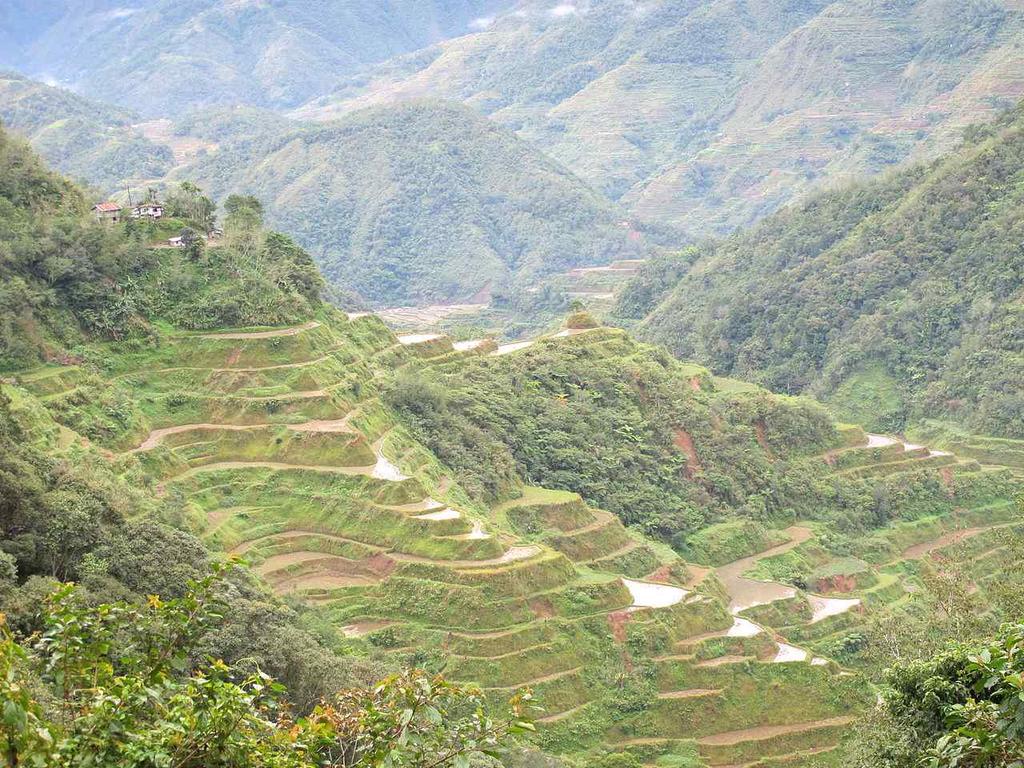 (Banaue) 지역을중심으로전개된다.