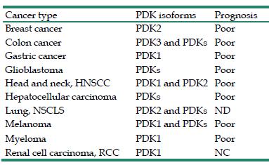 Association of PDKs overexpression with